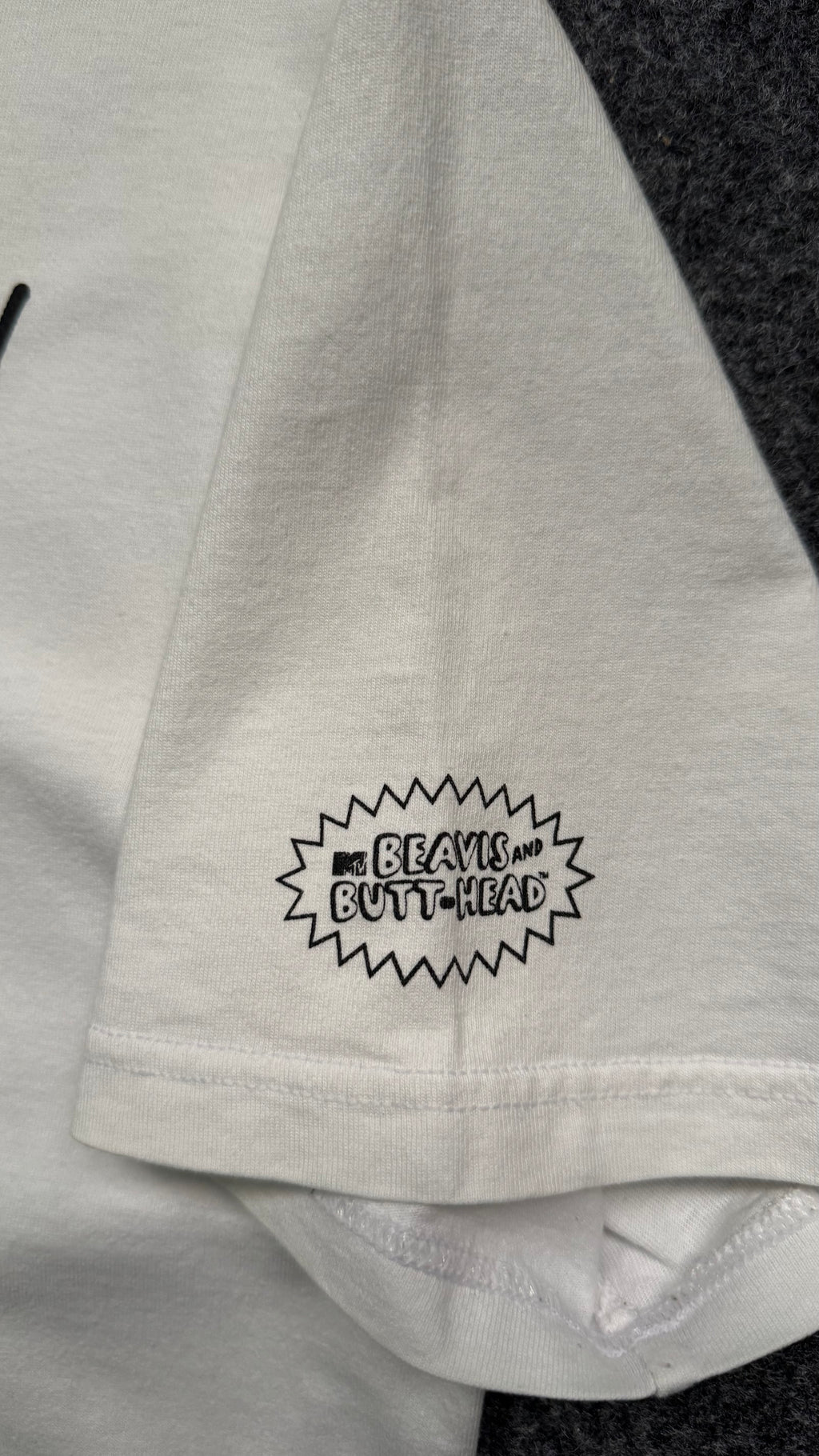STÜSSY X BEAVIS & BUTT-HEAD 🗿