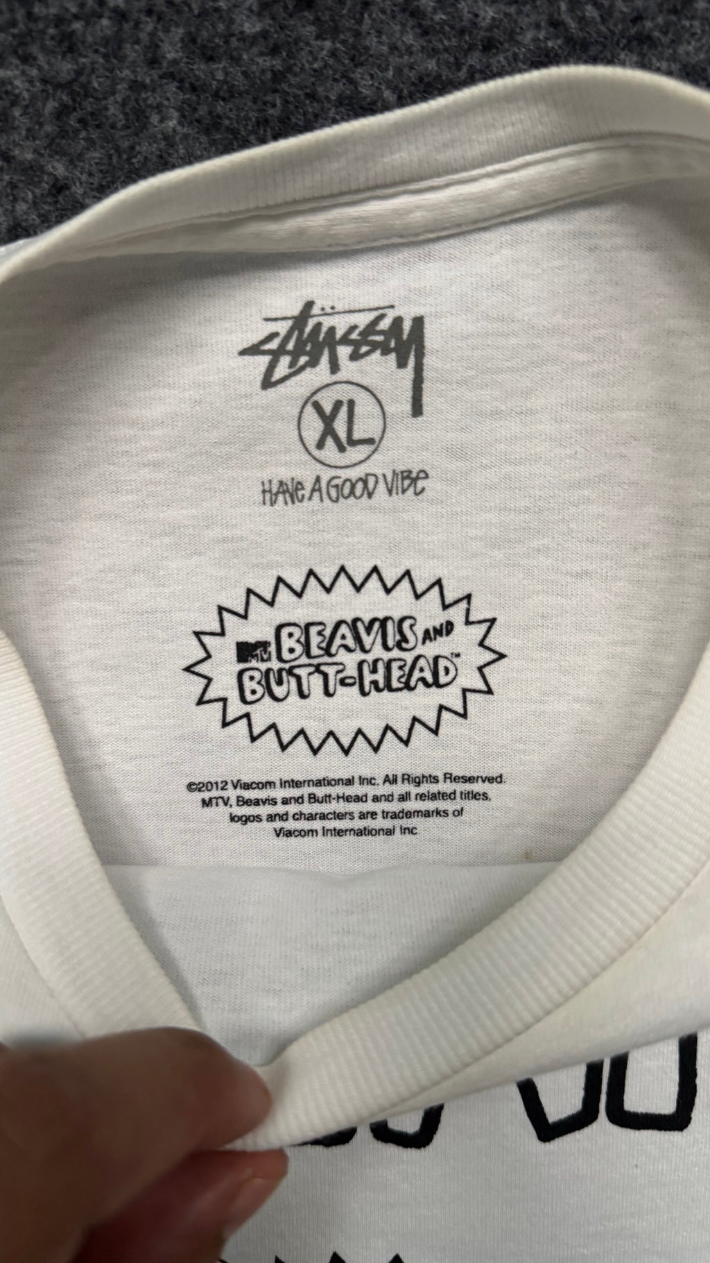 STÜSSY X BEAVIS & BUTT-HEAD 🗿